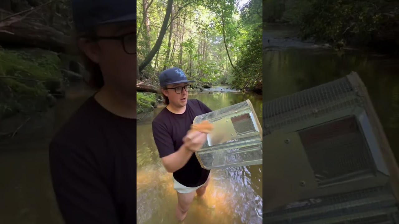 I Tested Out a Giant Minner Trap! #minners #trapping #creek