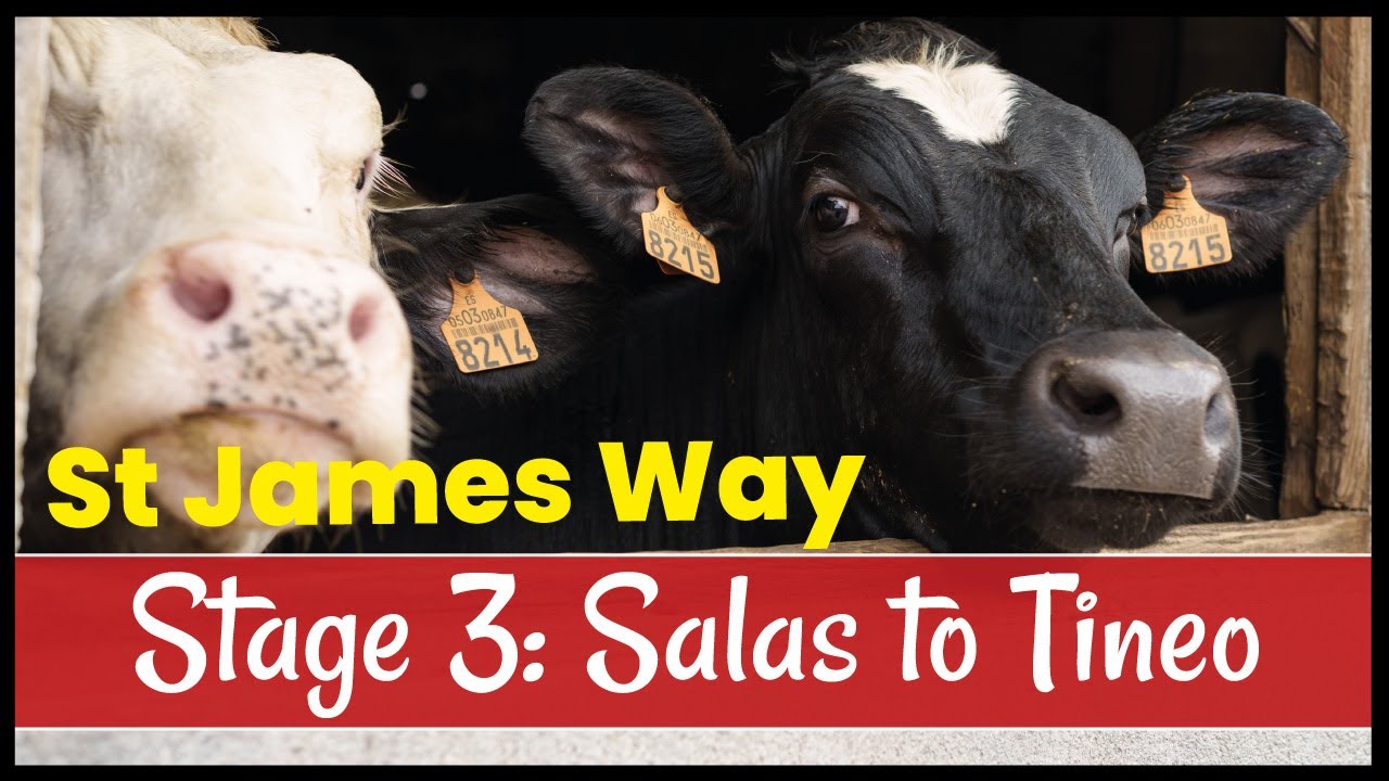 A Bird's Eye View of the Camino Primitivo: New Drone Footage of Stage 3 from Salas to Tineo