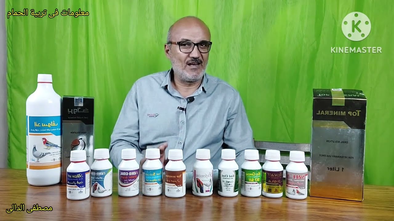 الحمام اللاحم الفرنسى السلفر اسرع فى الانتاج