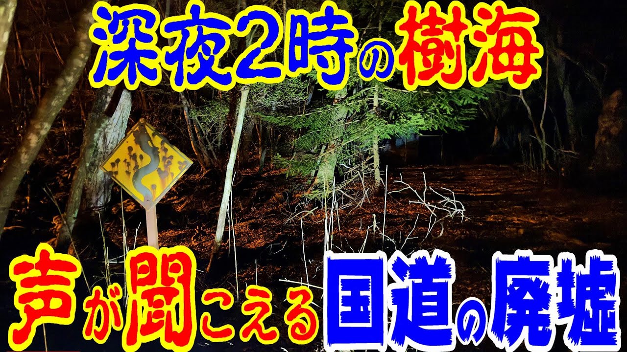 【謎の悲鳴が聞こえる】真夜中の樹海　富久クロス後半