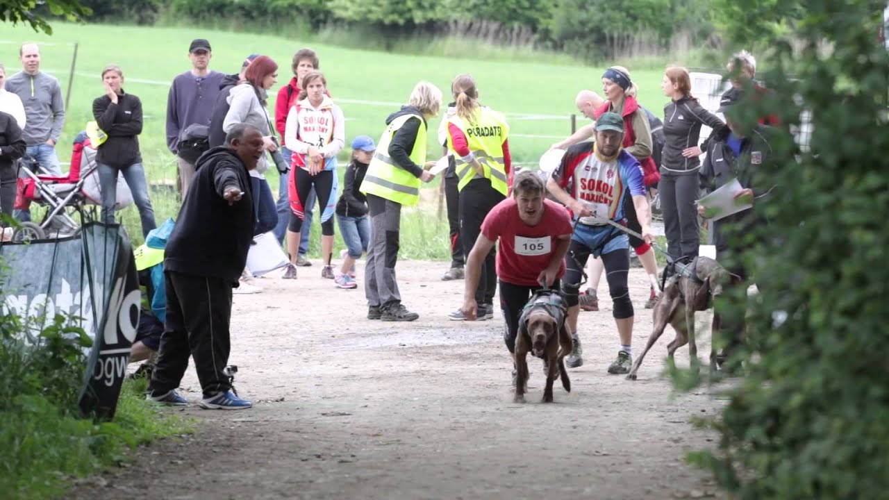 Nativa Challenge Brno - Ořešín canicross