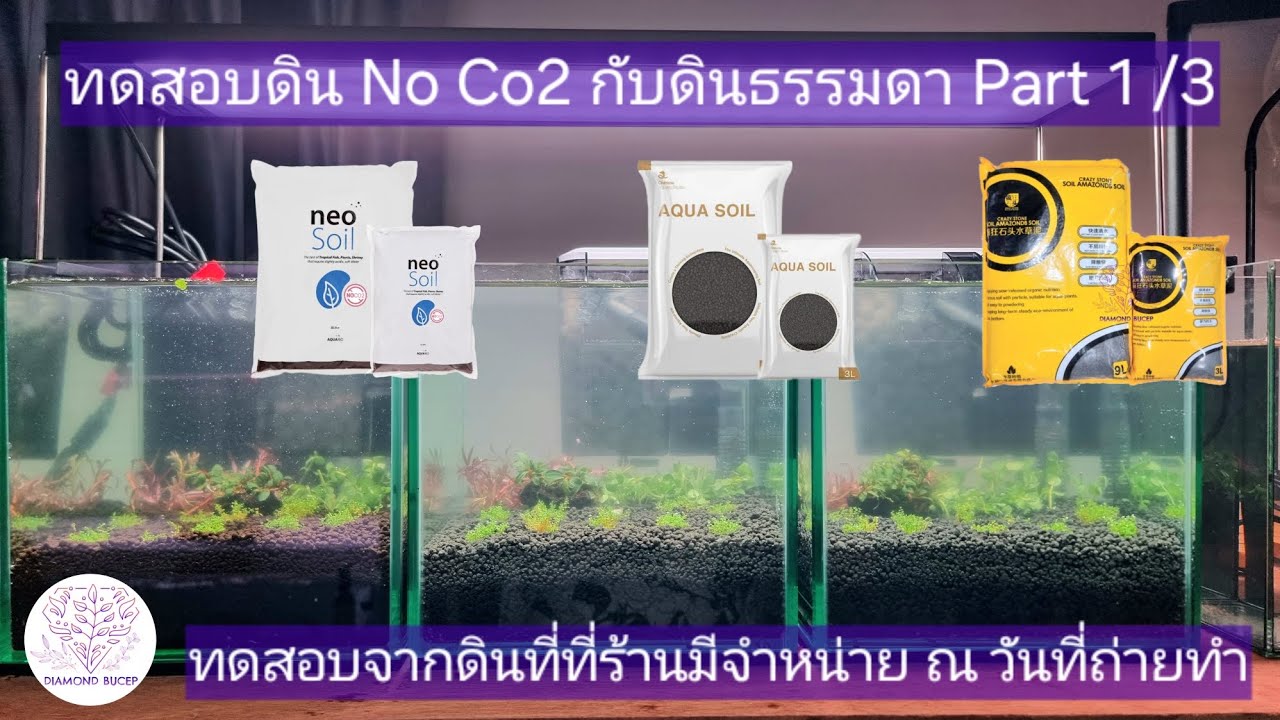 Test Aquario Neo no Co2 /Chihiros soil / Crazystone soil all tank no Co2 ทดลองดิน No Co2 [Part 1]