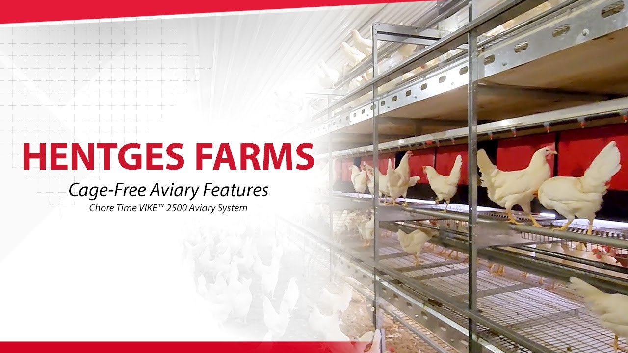 Chore Time VIKE™ 2500 Aviary System - Hentges Farms Cage-Free Aviary Features