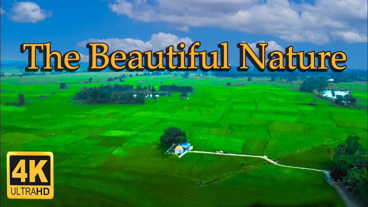 Indian village drone footage| 4K| My village