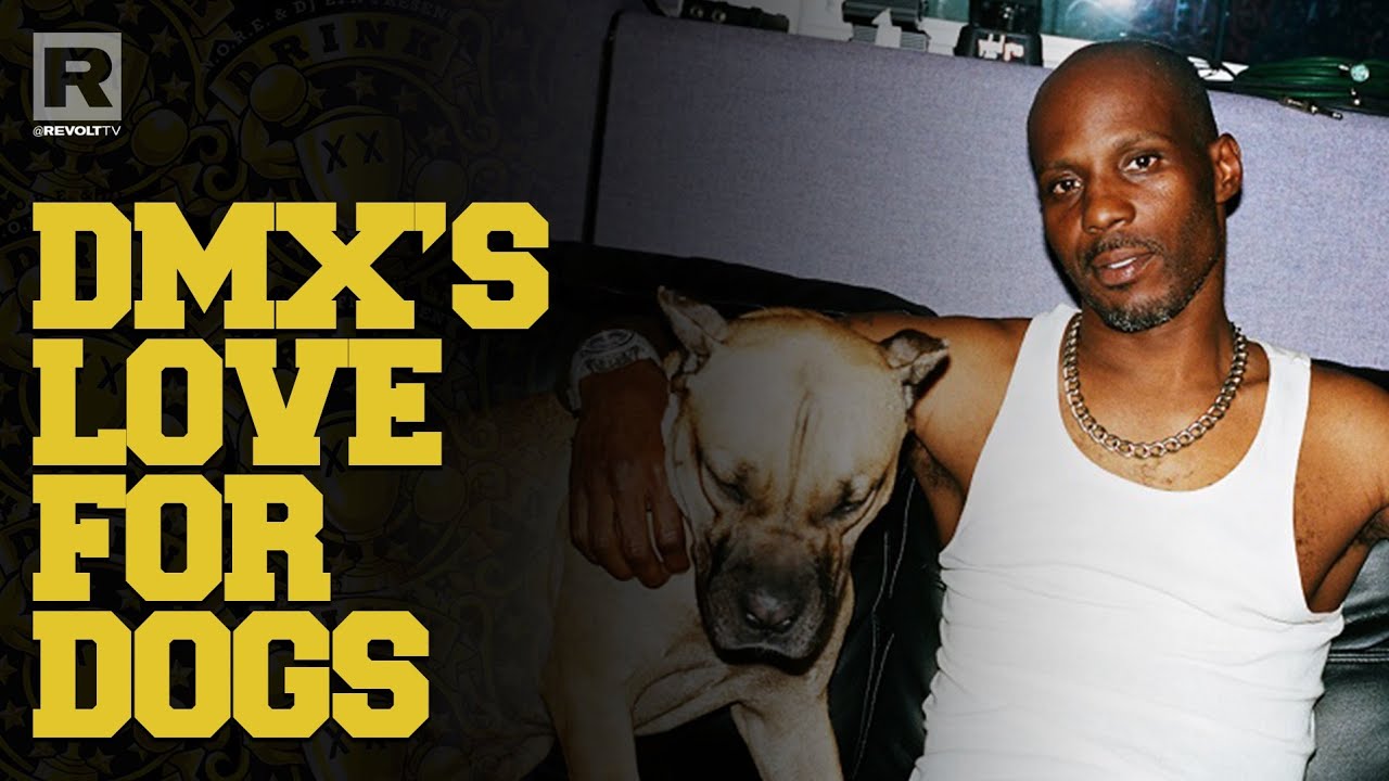 DMX On When His Love For Dogs Started & How They Influenced His Brand