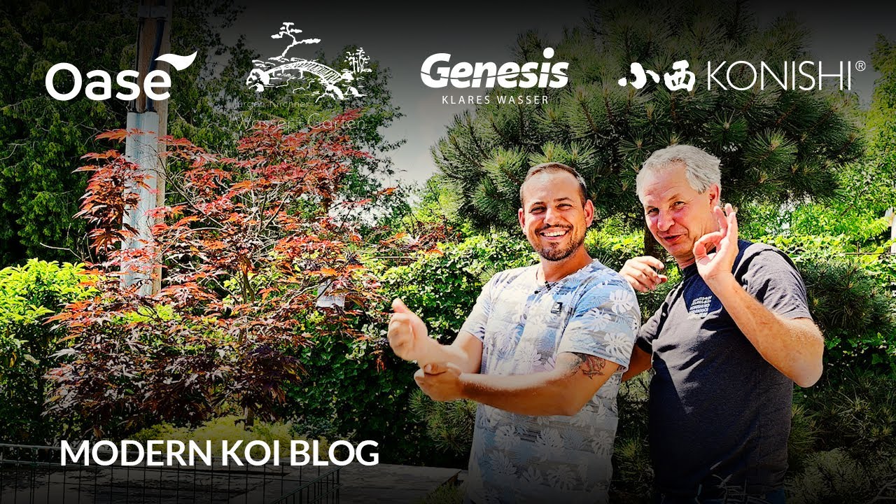 Modern Koi Blog #5993 - Franzi und Johannes Trommelfilteranlage mit Bürsten und Helix