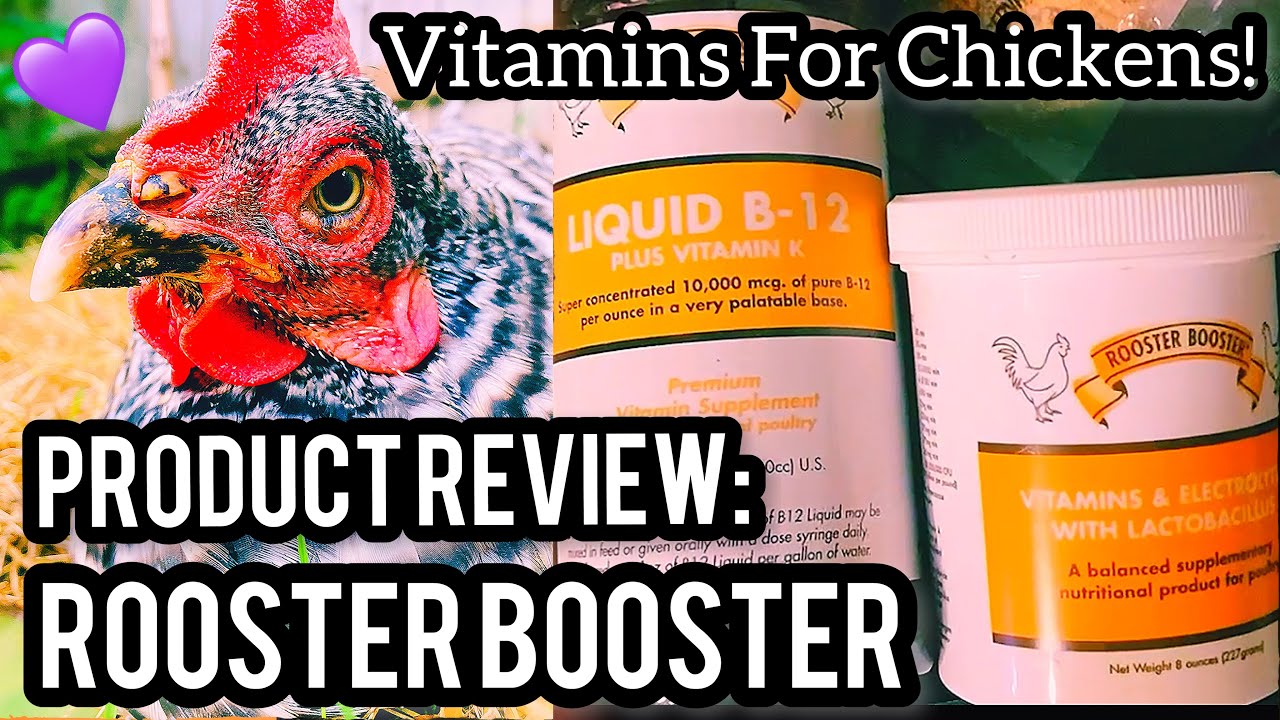 [Review]Rooster Booster Chicken Vitamins!