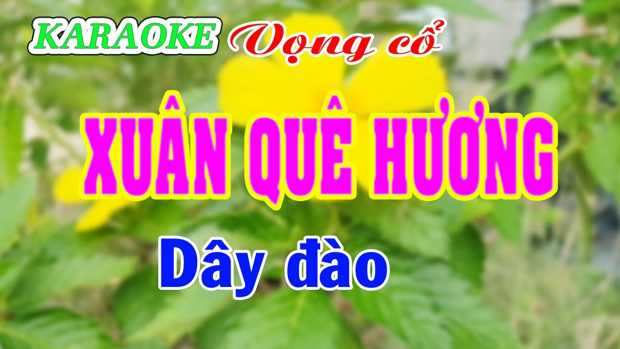Karaoke _ Xuân Quê Hương _ Dây Đào