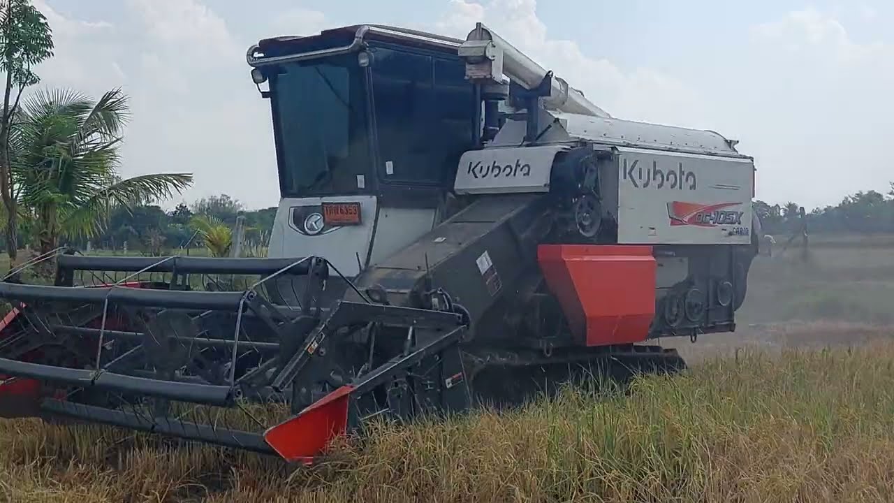 รีวิว จัดหนักรถเกี่ยวข้าว คูโบต้า DC-105X CABIN VIP ข้าวนาปรัง เดินขึ้นสาลี่ combine harvester