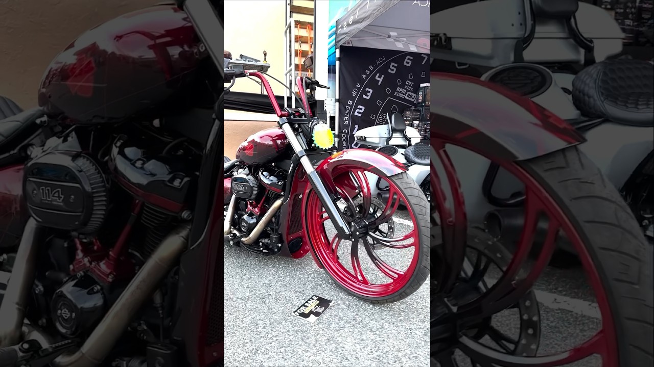 Softail Custom! #harleydavidson #softail #custom #shorts #bike #motorcycle #harley #bikelife