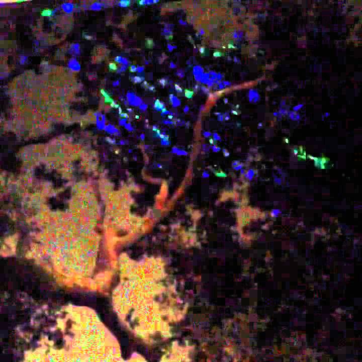 Debby Ryan's Vine 55