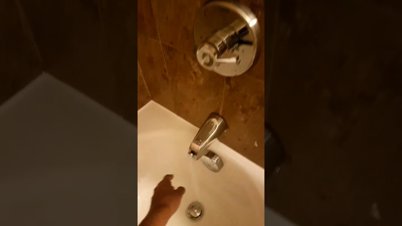 TOMAR BANHO NO CHUVEIRO. NOS ESTADOS UNIDOS🇺🇸