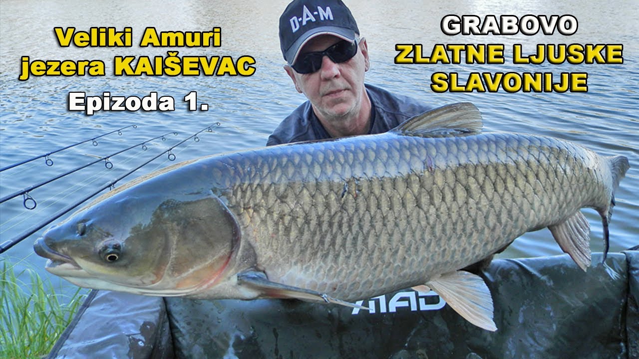 Veliki amuri jezera Kaiševac - ZLATNE LJUSKE SLAVONIJE Epizoda 1/4 / VSP Igor Pavičić