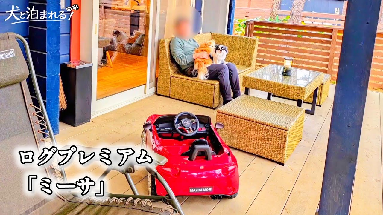 犬と泊まれる｜ログプレミアム「ミーサ」エンゼルフォレスト白河高原｜16分