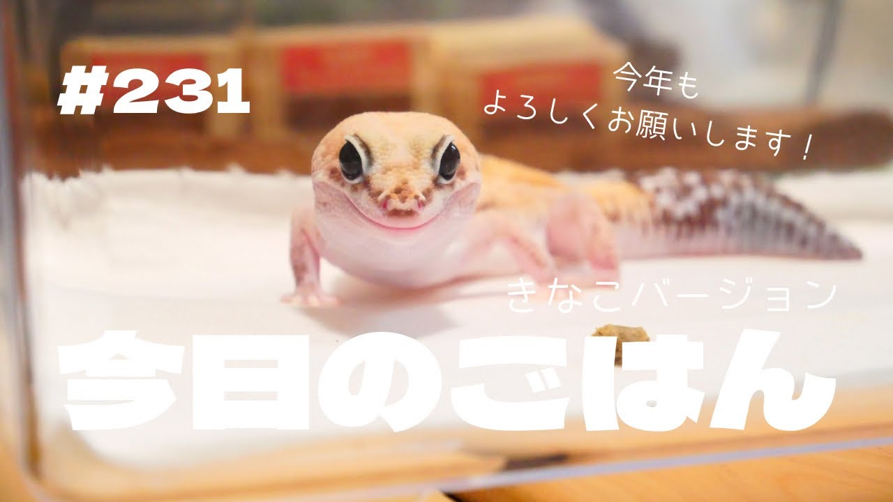 【ニシアフ】今年もよろしくお願いします！