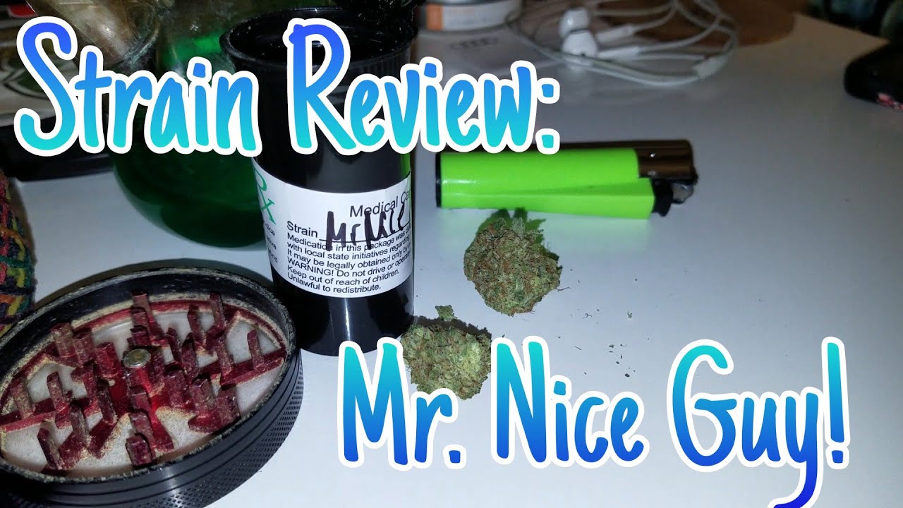 Strain Review: Mr. Nice Guy!