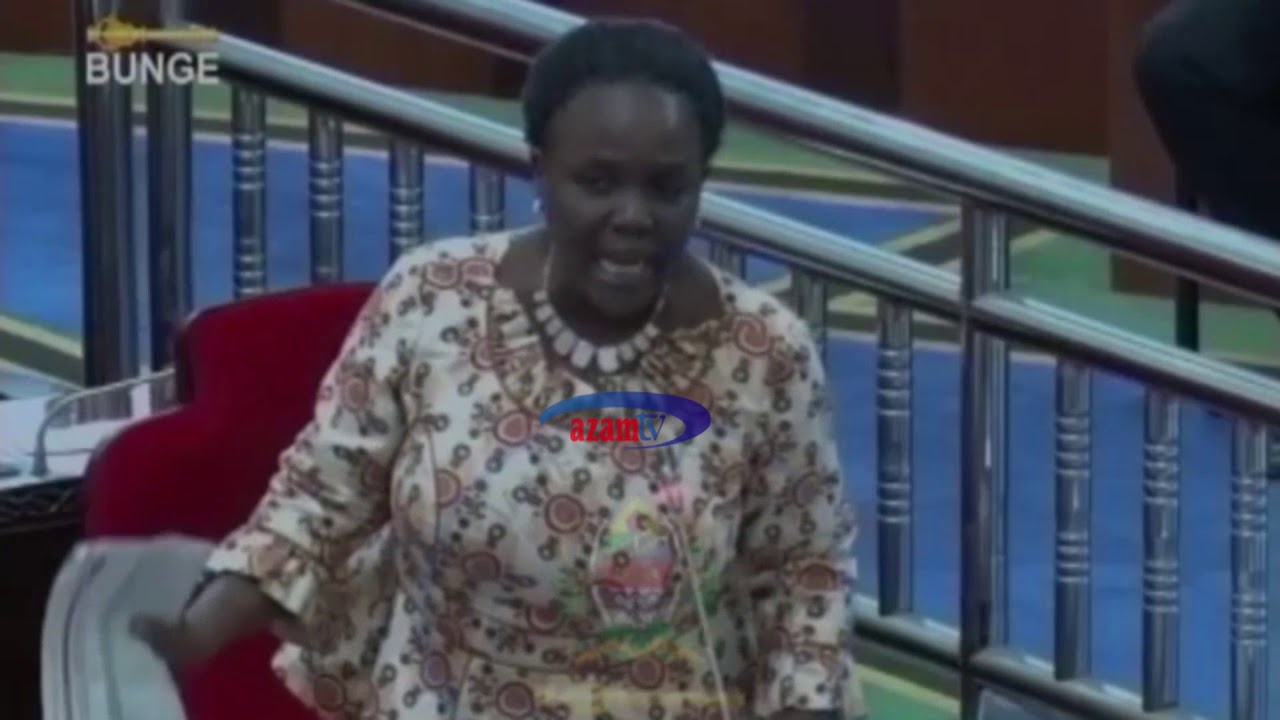 Azam TV - Prof. Ndalichako aikana taasisi ya mikopo kwa wanafunzi, atoa tahadhari