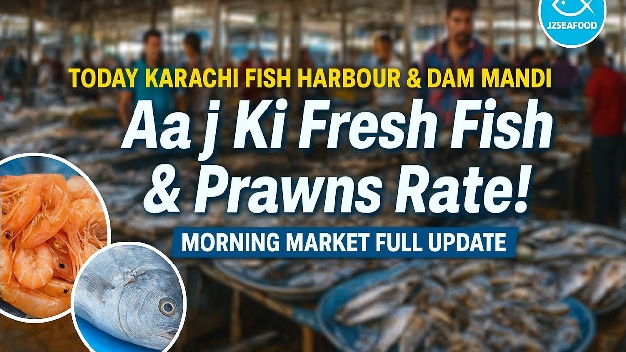 “Today Karachi Fish Harbour & Dam Mandi |Karachi fish market | Morning Fish & Prawns Rate Price”