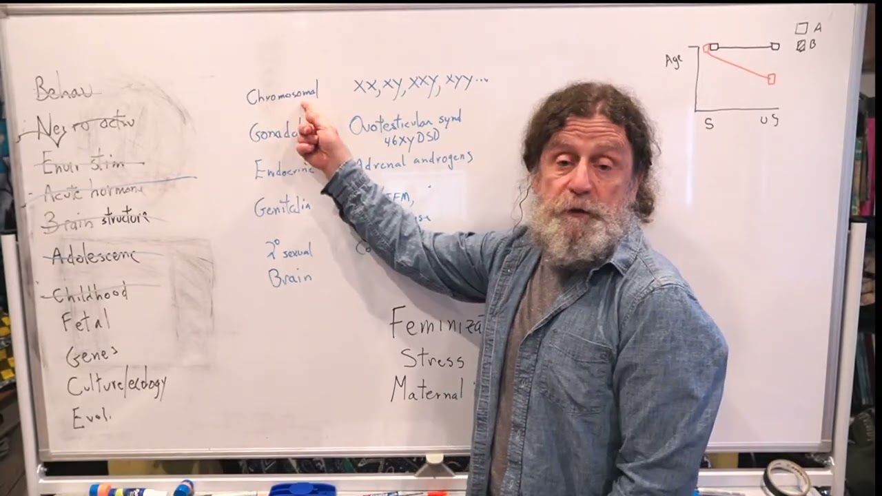 21. Human Behavioral Biology: Sexuality 3 by Robert Sapolsky