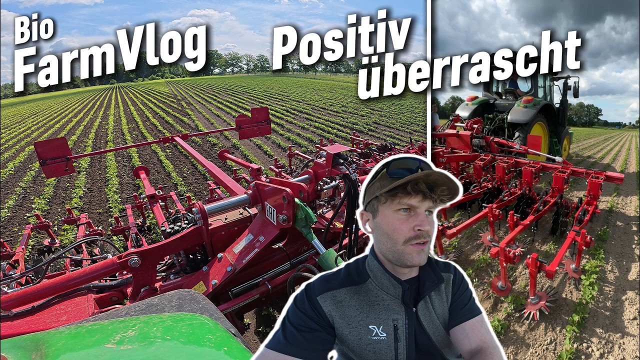Neue Horsch Hacke im test - 2. Gabe Aserpro & mehr / Vlog 227