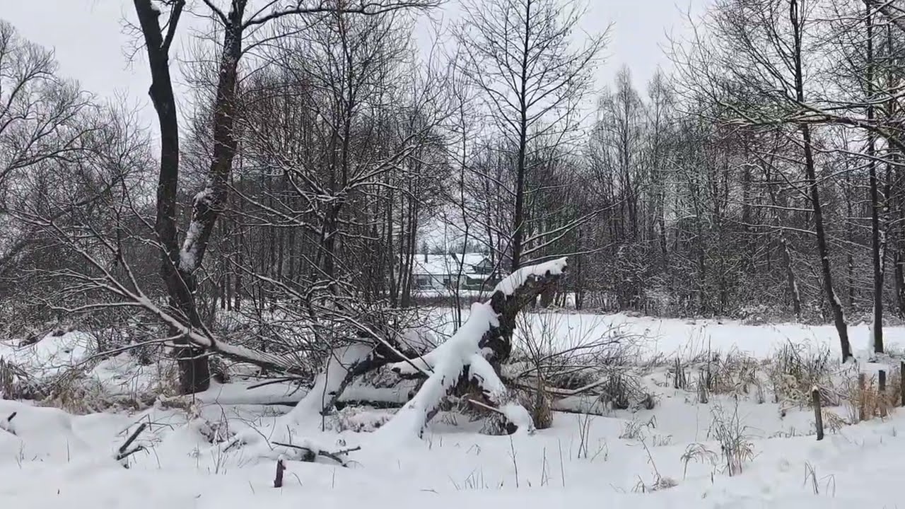 @ Zimowy spacer w naturze ❄️ chwila spokoju - zero projekt 