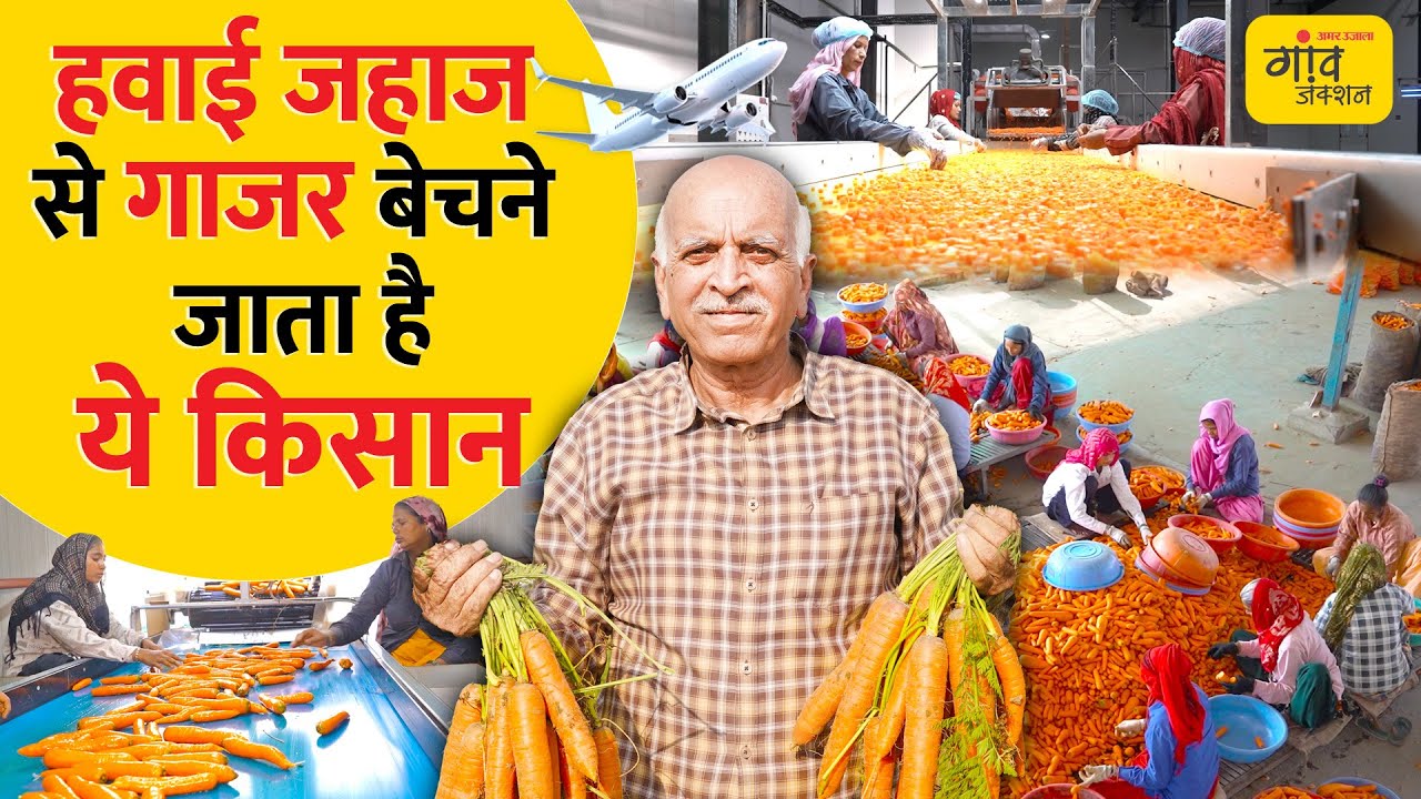 1500 एकड़ में गाजर की खेती, 1 घंटे में 5 टन गाजर प्रोसेस! | Gaon Junction LIVE