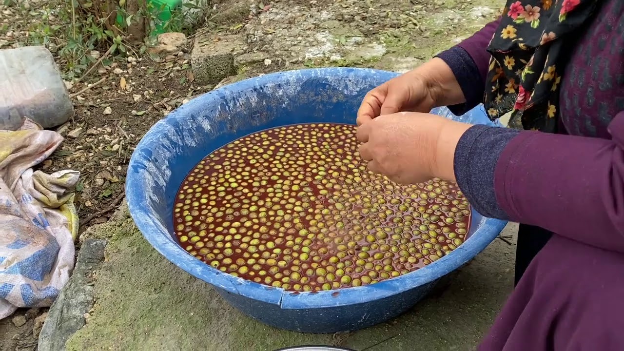 KÜLDE YEŞİL ZEYTİN YAPTIK / KÖYDE BİR GÜN
