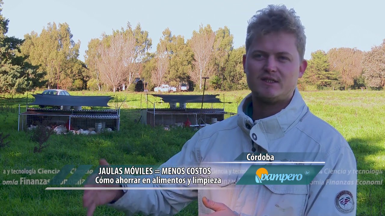 Gallineros móviles - Pampero Tv - Tv Pública Argentina