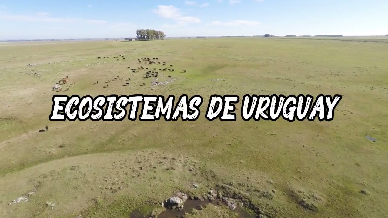 Ecosistemas de Uruguay