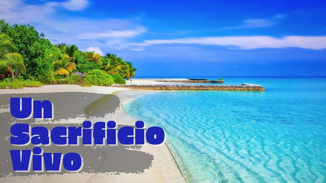 UN SACRIFICIO VIVO | Himno Majestuoso #378