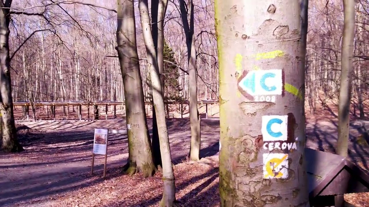 Bike Trip  - Sounds of Wind in the Little Catpathians
