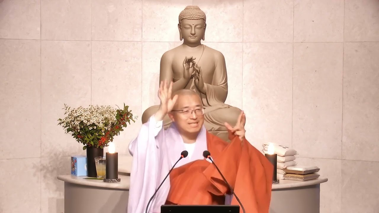 삶이 통째로 다 생각이다, 생각에 속지 않으면 대자유