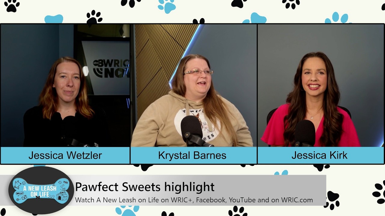 A New Leash on Life: Pawfect Sweets highlight