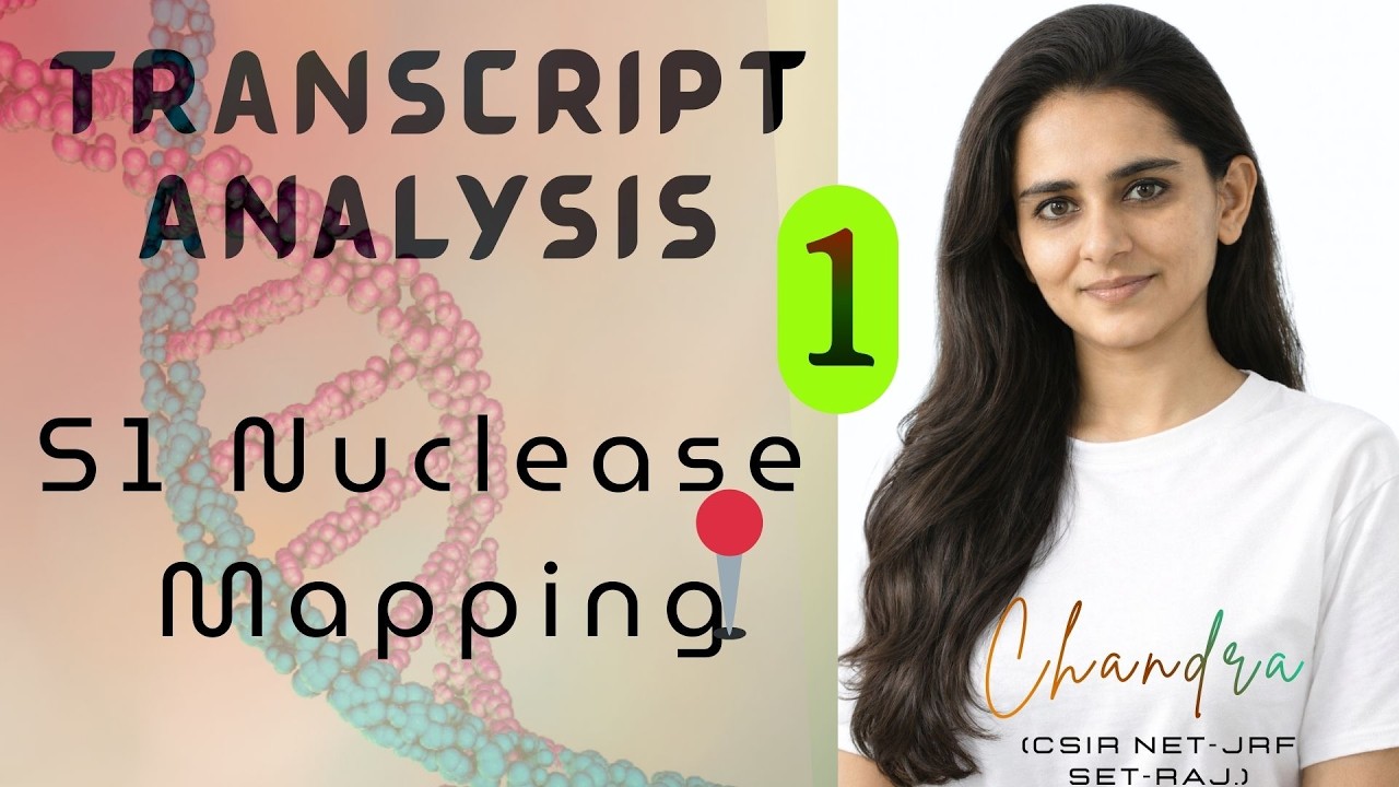Part 1 – S1 Nuclease Mapping | Transcript Analysis | #Biotechnology