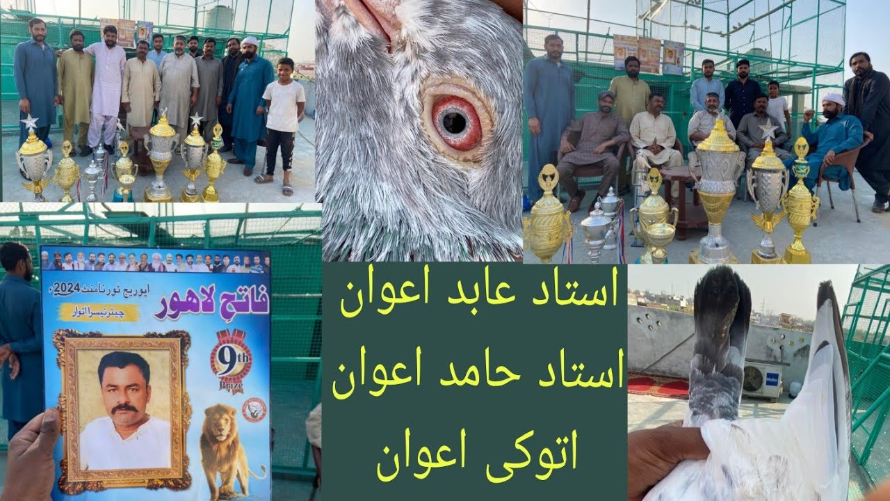استاد ملک عابد اعوان استاد حامد اعوان لاھور چیمپین استاد اتوکی وان