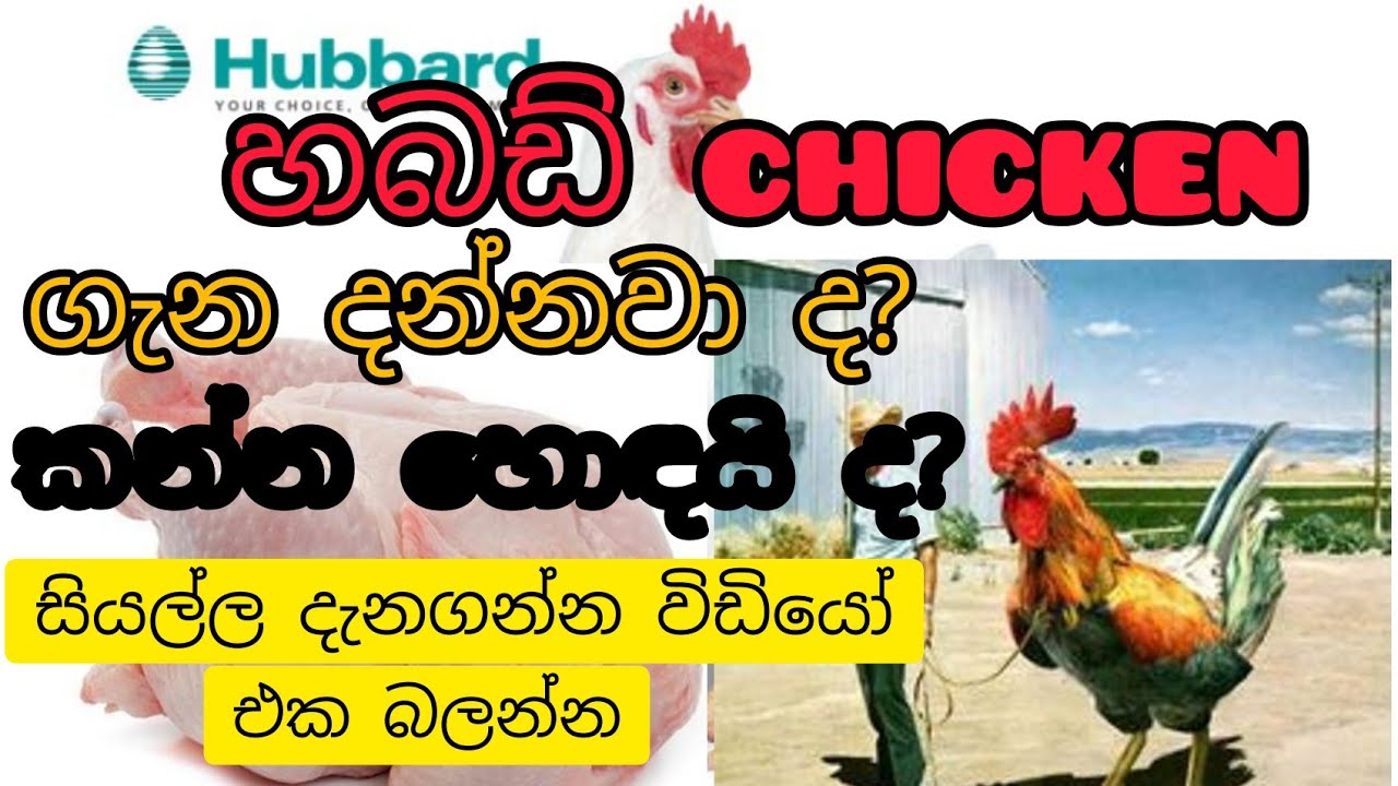 Hubbard Chicken.