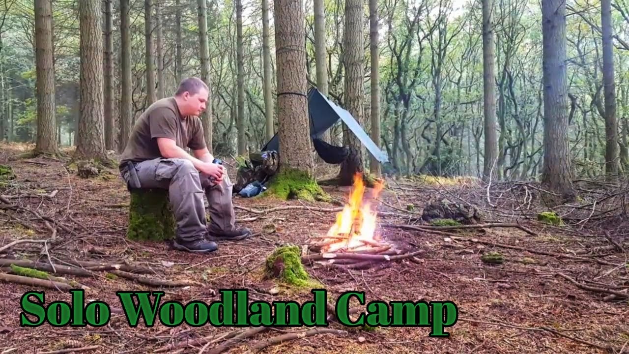 Solo hammock and tarp woodland camp