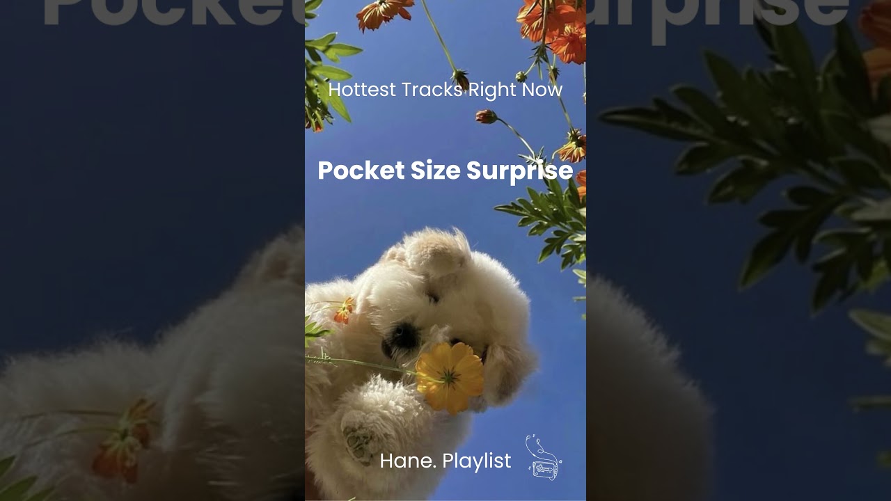 𝘱𝘭𝘢𝘺𝘭𝘪𝘴𝘵🎧Hottest tracks right now🎶Hane.플리 | Pocket Size Surprise