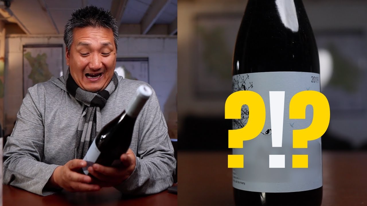 This $13 RED WINE is BONKERS!!! 🤯