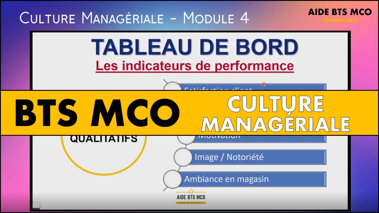 AIDE BTS MCO |Les indicateurs de performance pour réaliser un diagnostic | CULTURE MANAGERIALE BTS