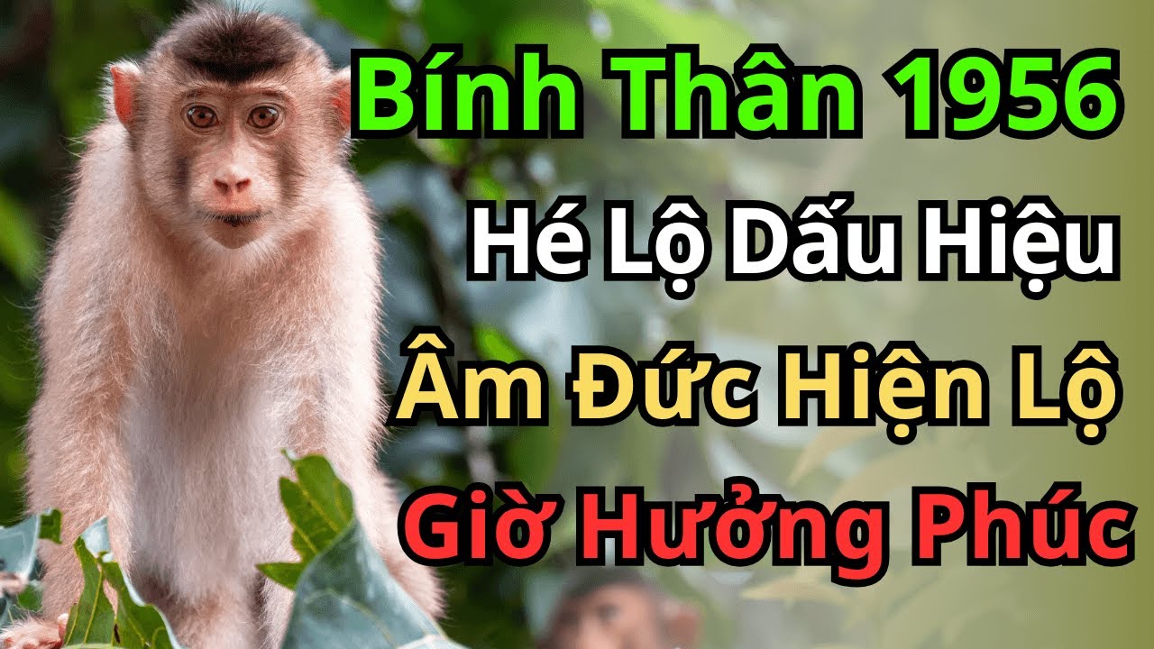 Bính Thân 1956: Có 10 Dấu Hiệu Này,  Âm Đức Cực Dày, Con Cháu Hiển Vinh, Bản Thân Trường Thọ!