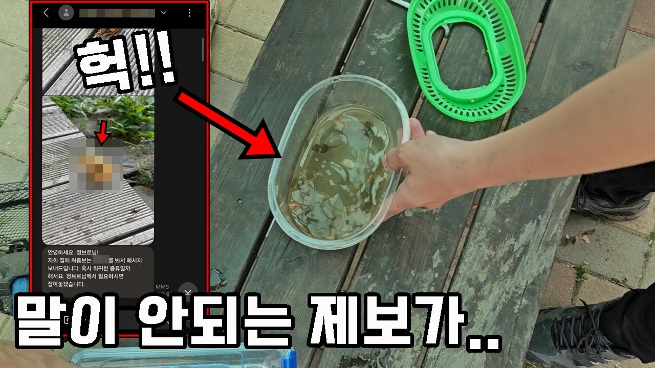 두번의 말도 안되는 제보, 로또 확률인데 현장에 가보니....잘 키우겠습니다.