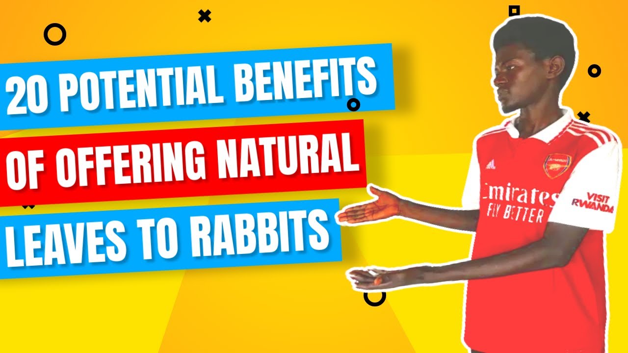 20 potential benefits of offering natural leaves to rabbits#RabbitNutrition#rabbitfarming#wodemaya