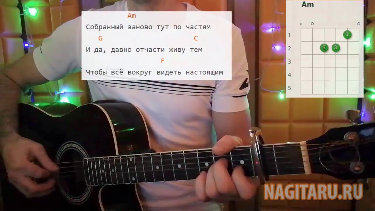 Тима Белорусских -  