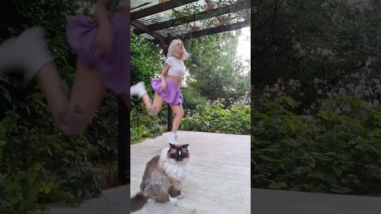 I don't think my cat is impressed 😆 #shuffledance #dance #shuffle #tiktok