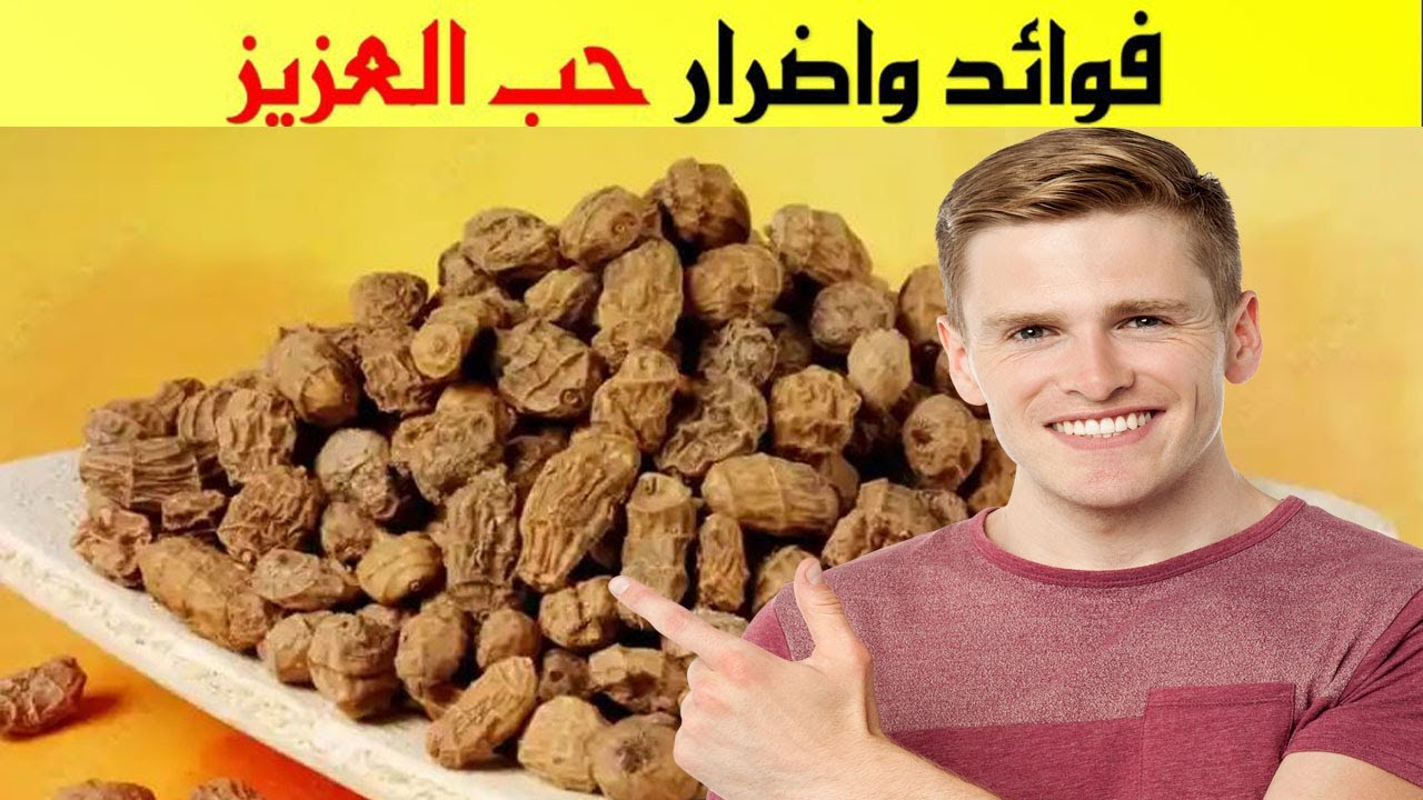 فوائد واضرار حب العزيز   اكتشف فوائد حب الزلم المدهشة