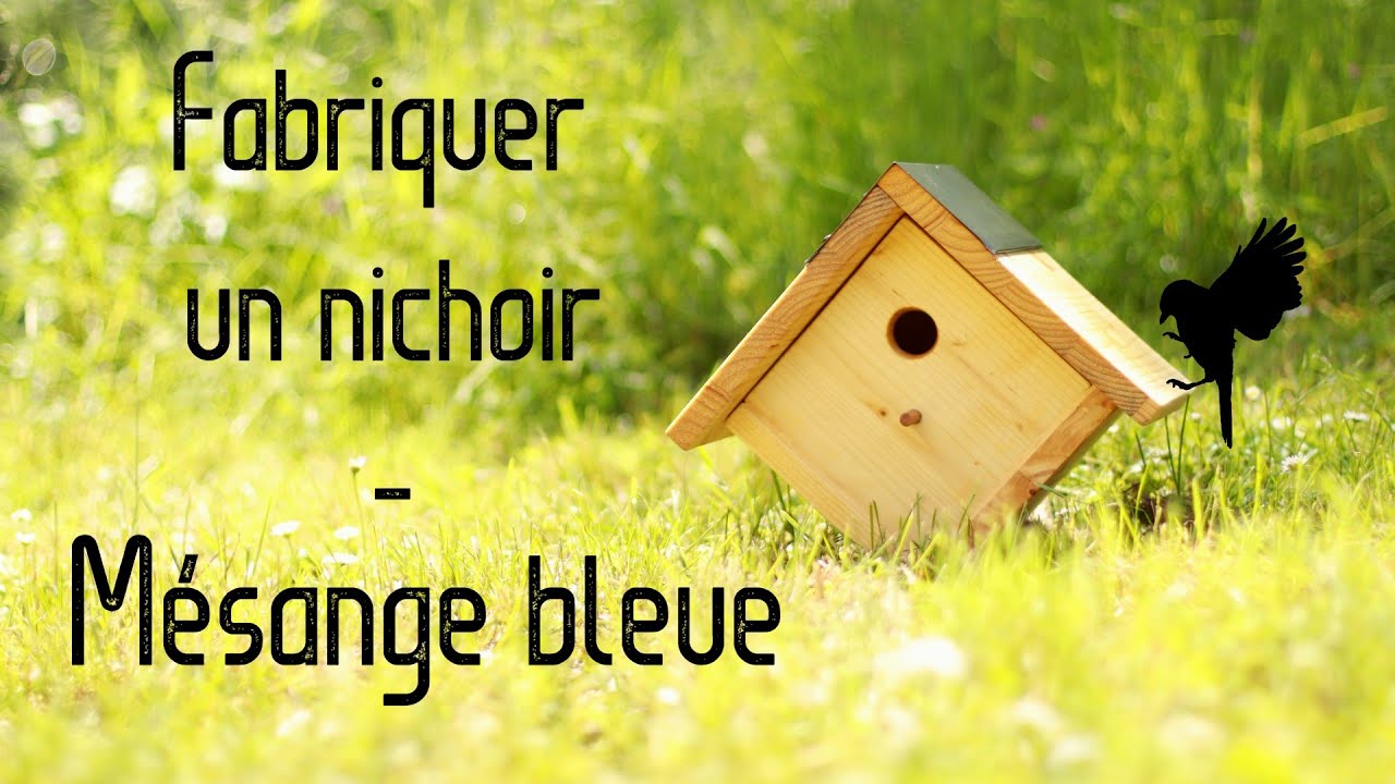 Fabriquer un nichoir pour Mésange bleue