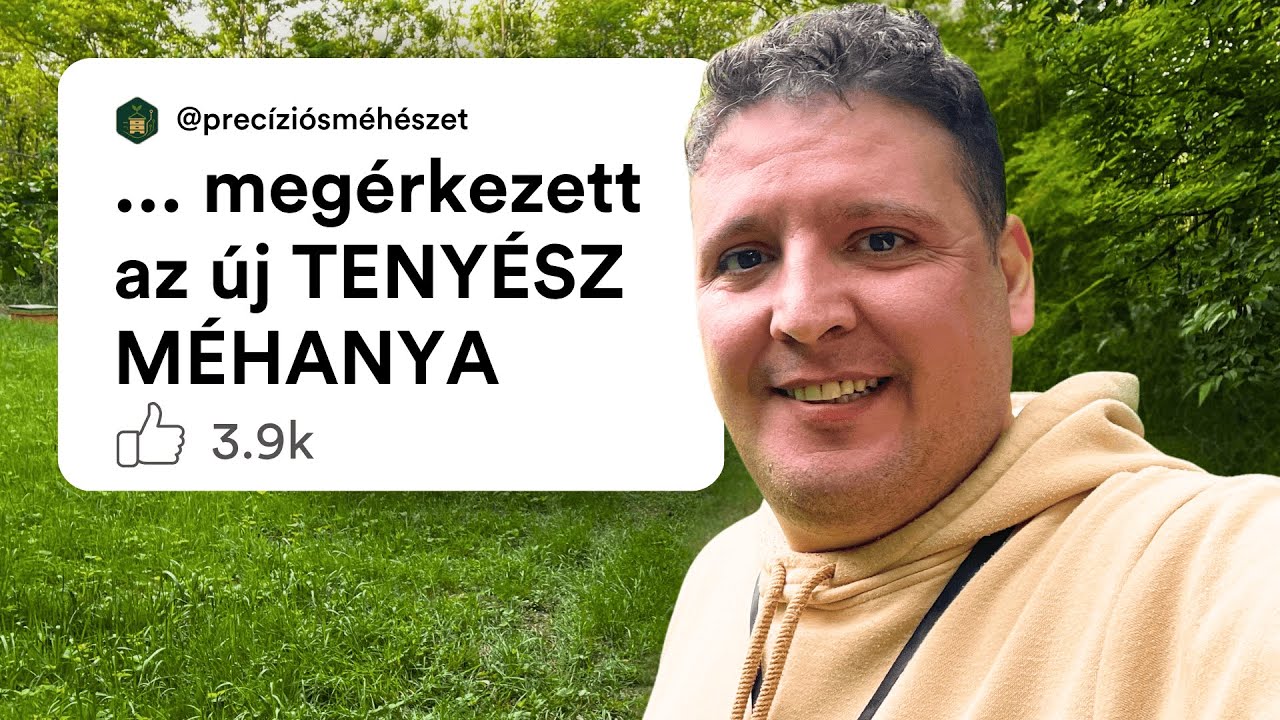 Új Tenyészanyák Érkeztek! - AutóVlog