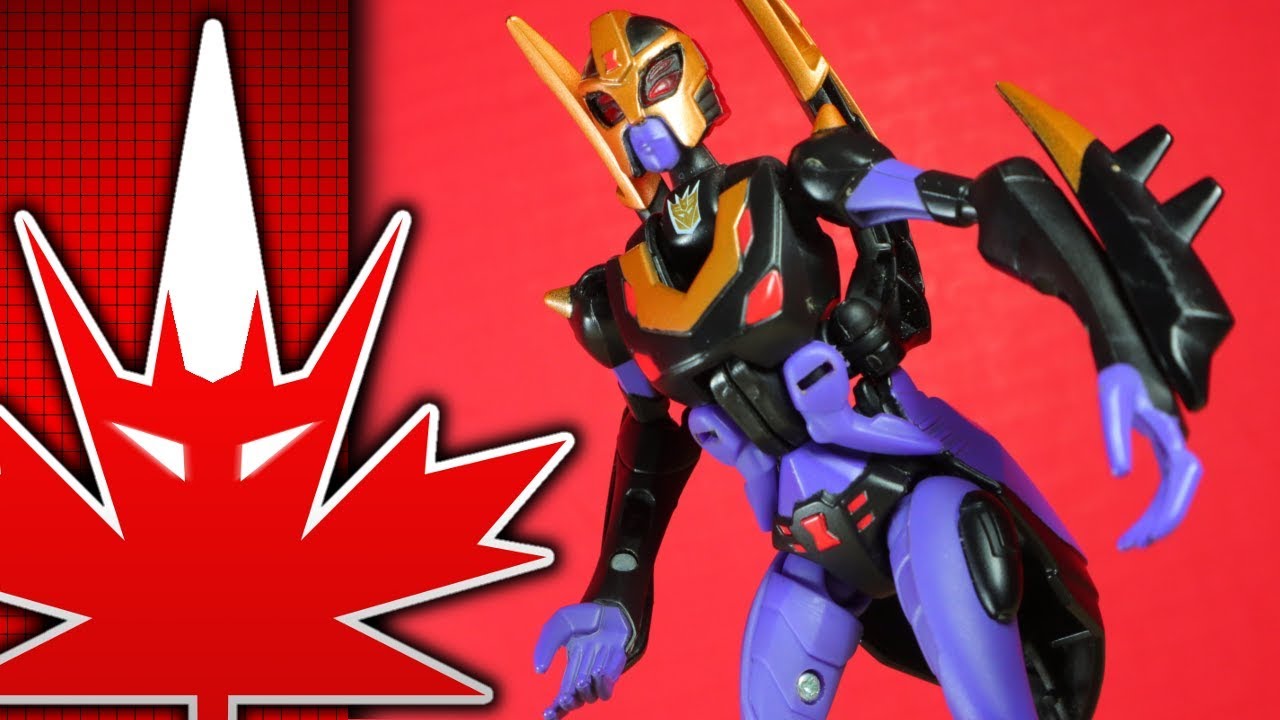 TRANSFORMERS: Animated Deluxe Class BLACKARACHNIA | Canadia' Reviewer #310