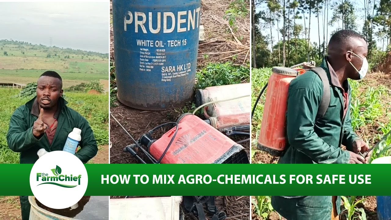 HOW TO PREPARE PESTICIDES AND FUNGICIDES FOR SPRAYING.